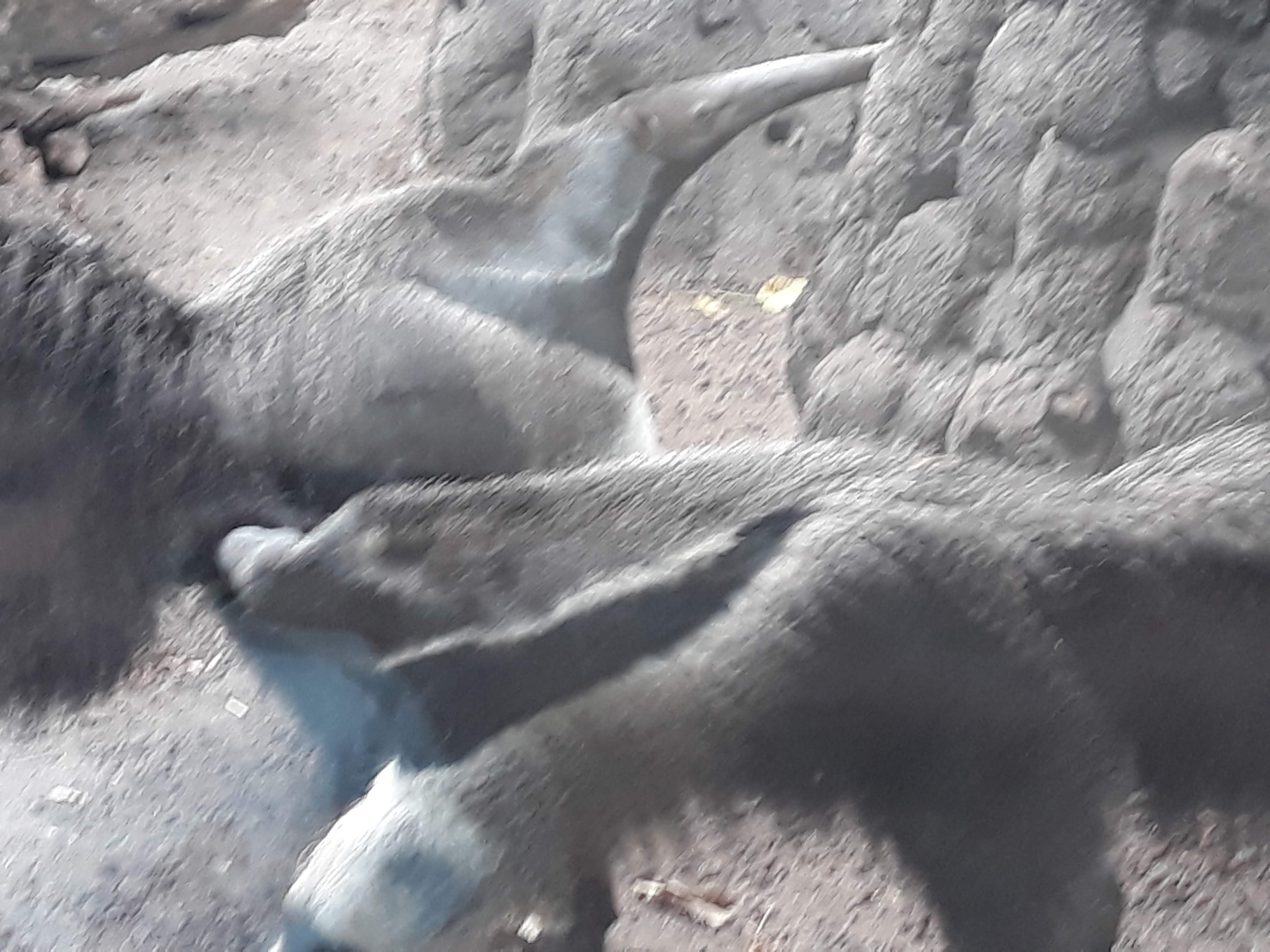 Photo n° 12 de l'avis de Ludo.a fait le 30/08/2021 à 17:15