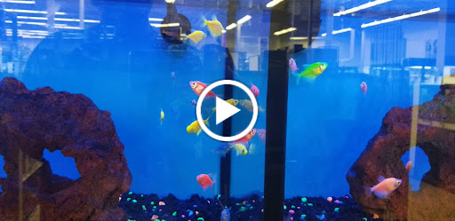 Pet Supply Store «Petco Animal Supplies», reviews and photos, 4491 Kirkwood Hwy, Wilmington, DE 19808, USA