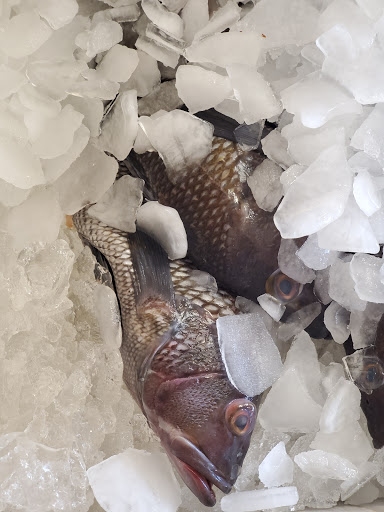 Seafood Market «Ocean Fish Market», reviews and photos, 302 Kingston St, Conway, SC 29526, USA