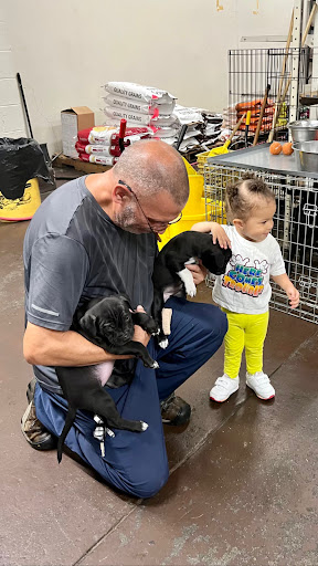 Pet Supply Store «Ace Pet Supply & K-9 Center Inc», reviews and photos, 206 Vanderpool St, Newark, NJ 07114, USA