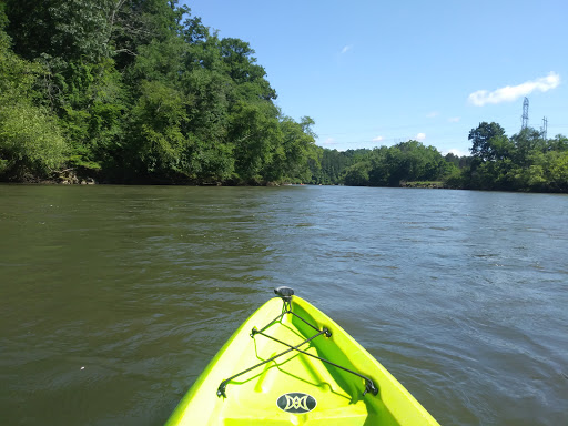 National Forest «Pisgah National Forest», reviews and photos, 1600 Pisgah Highway, Nebo, NC 28761, USA