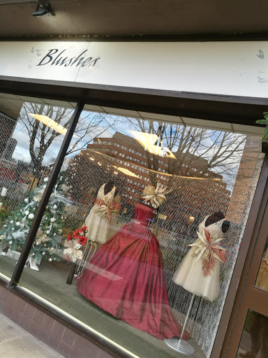 Blushes Bridal Studio