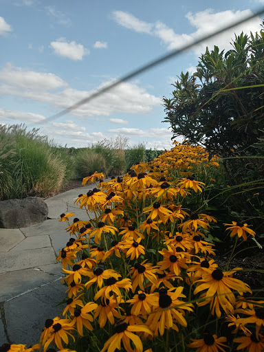 Winery «Ardiri Winery & Vineyards», reviews and photos, 35040 Southwest Unger Road, Cornelius, OR 97113, USA