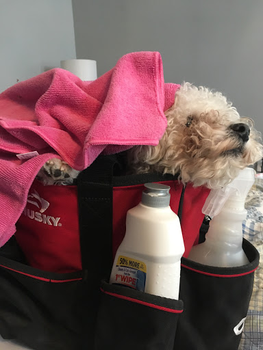 House Cleaning Service «Pink Power Home Cleaning», reviews and photos, OH-718, Troy, OH 45373, USA