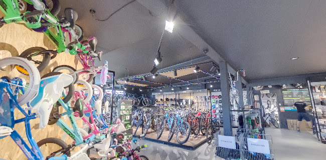 Reviews of My Ride Gisborne in Gisborne - Bicycle store
