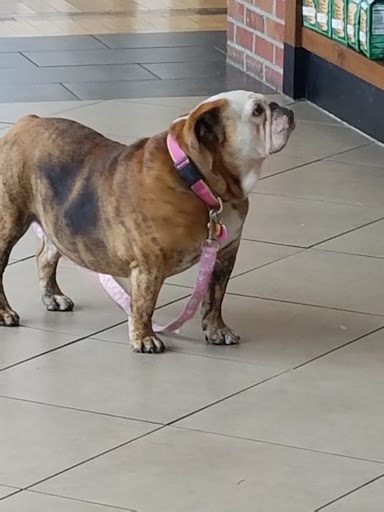 Car Wash «Waterway Gas & Wash», reviews and photos, 30299 Chagrin Blvd, Pepper Pike, OH 44124, USA