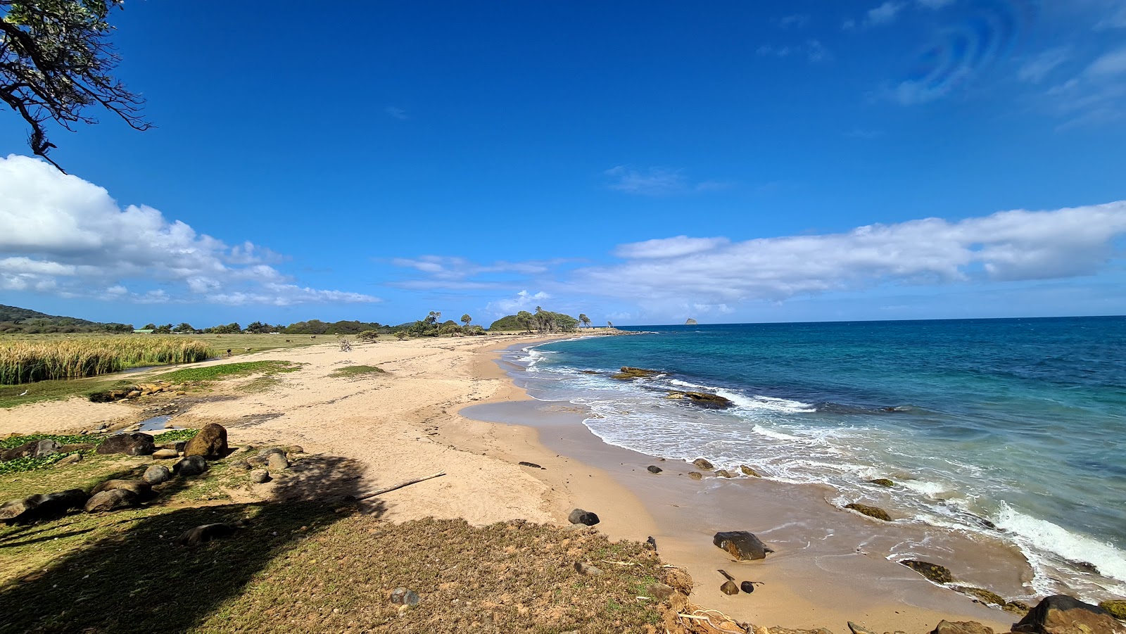 Anse du Petit Fort Beach'in fotoğrafı kahverengi kum yüzey ile