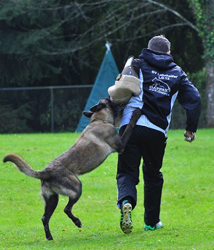 Rezensionen über Verein für Hundesport und Hundefreunde Konstanz e.V. in Kreuzlingen - Hundeschule