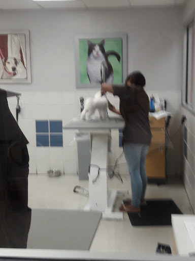 Pet Supply Store «Petco Animal Supplies», reviews and photos, 8111 W Broward Blvd, Plantation, FL 33324, USA