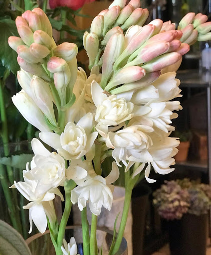 Florist «Not Just Flowers», reviews and photos, 4109 18th St, San Francisco, CA 94114, USA