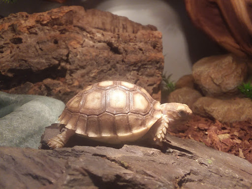 Pet Supply Store «Pet Station Jackson», reviews and photos, 1617 E Michigan Ave, Jackson, MI 49202, USA