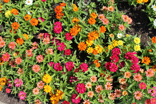 Health Food Store «Willimantic Food Co-Op», reviews and photos, 91 Valley St, Willimantic, CT 06226, USA