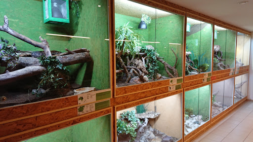 ReptilienDer Zoo Scheidegg unter Scheidegg, 