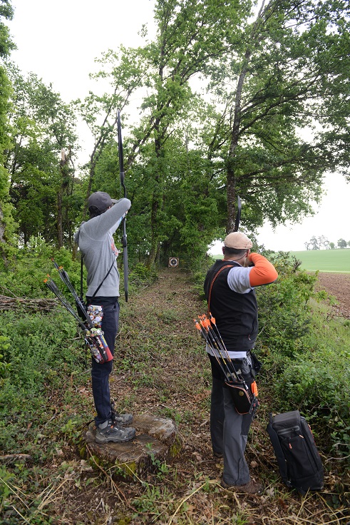 Photo n° 1 de l'avis de Archers.l fait le 11/03/2022 à 12:53