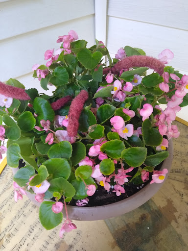 Florist «Parkview Gardens Florist & Greenhouse», reviews and photos, 1925 W Randolph St, St Charles, MO 63301, USA