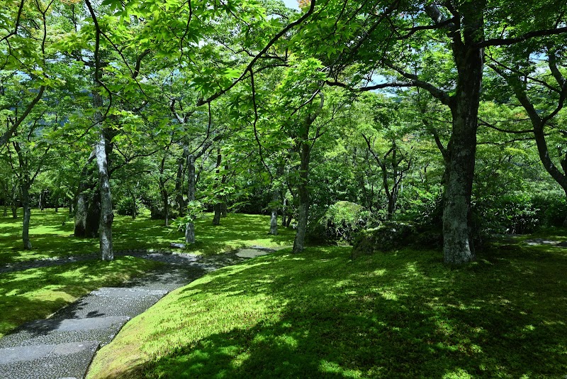 箱根美術館苔庭