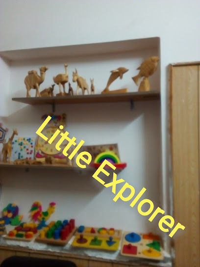 Little Explorer Academy