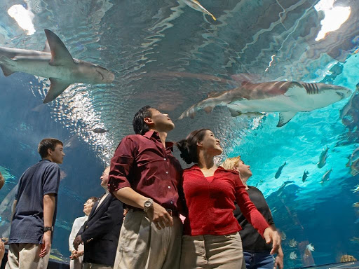 Aquarium «Newport Aquarium», reviews and photos, 1 Aquarium Way, Newport, KY 41071, USA