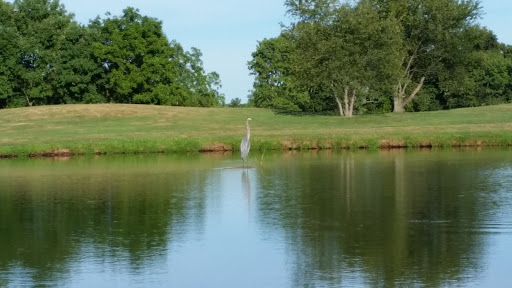 Golf Course «Turtle Creek Golf Course», reviews and photos, 303 W Ridge Pike, Limerick, PA 19468, USA