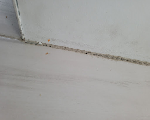 Flooring Store «Dolphin Carpet & Tile», reviews and photos, 2224 S University Dr, Davie, FL 33324, USA