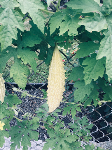 Park «Kittrel Park», reviews and photos, 120 Fisher Ave, White Plains, NY 10606, USA