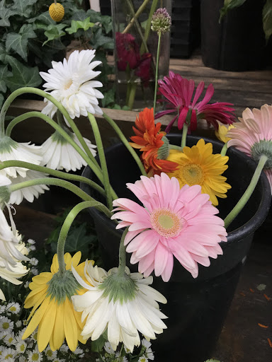 Florist «Brattle Square Florist», reviews and photos, 31 Brattle St, Cambridge, MA 02138, USA