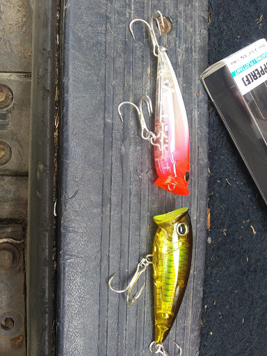 Auto Repair Shop «Hibiscus Wholesale Auto Parts Inc», reviews and photos, 128 N Old County Rd, Edgewater, FL 32132, USA