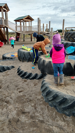 Christmas Tree Farm «Piney Acres», reviews and photos, 1115 E 1000 N, Fortville, IN 46040, USA