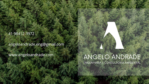 Angelo Andrade Engenharia e Consultoria Ambiental