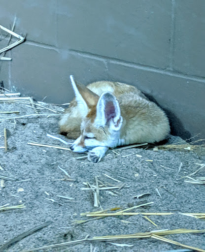 Zoo «Niabi Zoo», reviews and photos, 13010 Niabi Zoo Rd, Coal Valley, IL 61240, USA