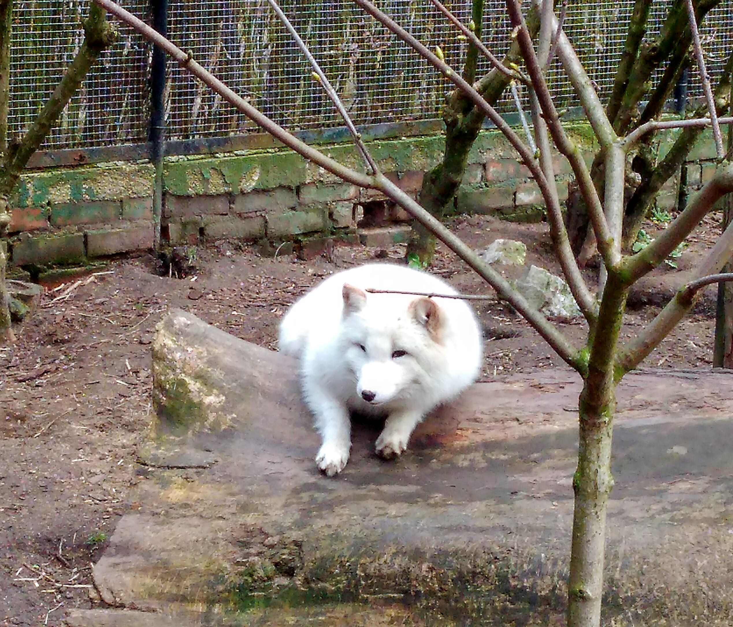 Photo n° 1 de l'avis de Christelle. fait le 31/03/2018 à 11:38