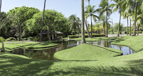 Companhia do Verde