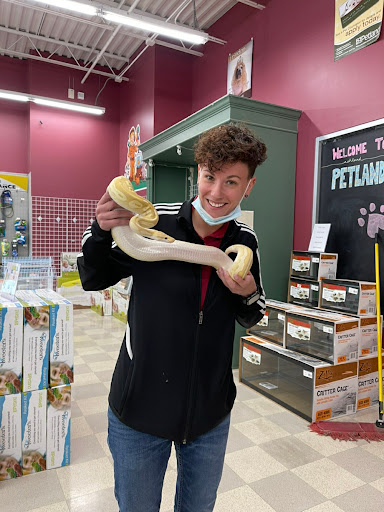 Pet Store «Petland», reviews and photos, 351 Diederich Blvd, Ashland, KY 41101, USA