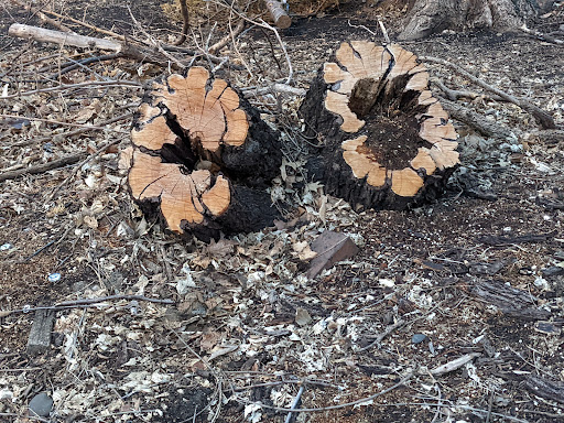 Park «Van Cleve Park Rink», reviews and photos, 901 15th Ave SE, Minneapolis, MN 55414, USA