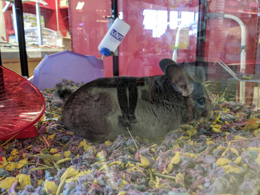 Pet Supply Store «Petco Animal Supplies», reviews and photos, 6672 Lonetree Blvd, Rocklin, CA 95765, USA