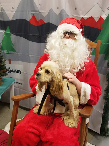 Pet Supply Store «PetSmart», reviews and photos, 1110 Hospitality Dr, Rock Hill, SC 29730, USA