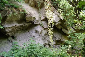 Grotta "La Tanaccia" image
