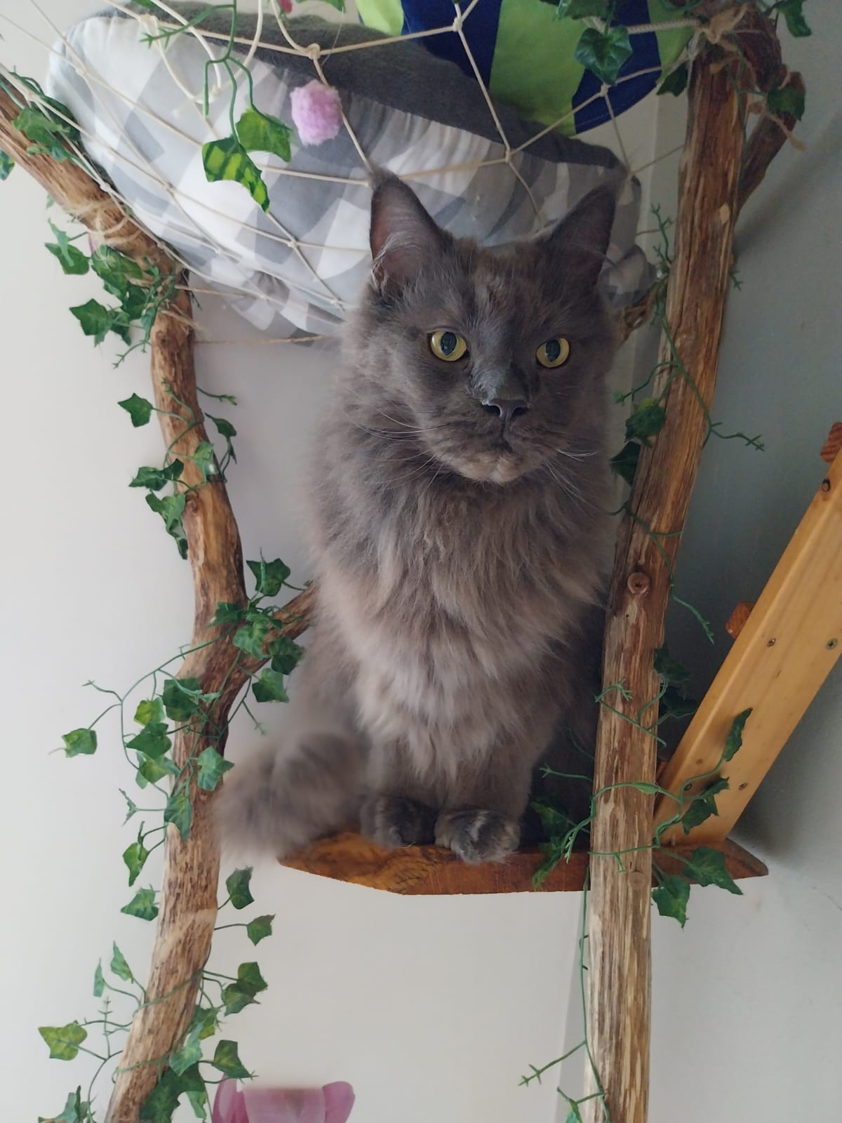 Photo n° 2 de l'avis de Lisa.O fait le 29/11/2023 à 10:08