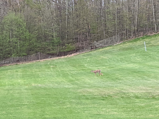 Golf Course «Blue Ridge Trail Golf Club», reviews and photos, 260 Country Club Dr, Mountain Top, PA 18707, USA