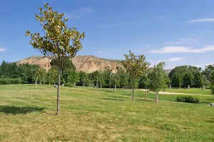 Bosque de la Danza image