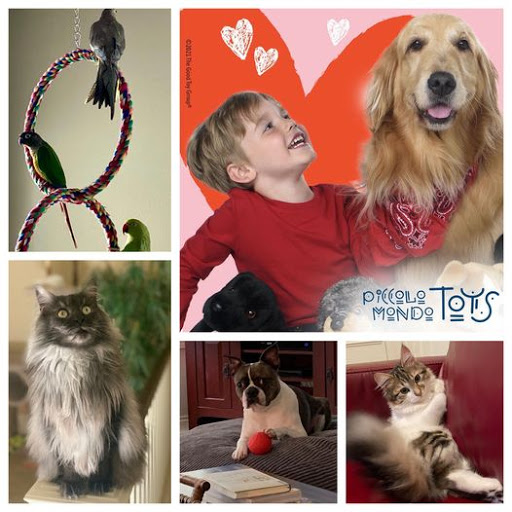 Toy Store «Piccolo Mondo Toys», reviews and photos, 4768 NW Bethany Blvd C5, Portland, OR 97229, USA