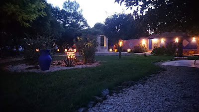 Ryad célianna à Arles
