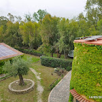 Photo n°6 de l'avis de anella.o fait le 15/05/2023 à 14:55 sur le  La Petrosa - Azienda Agricola à Ceraso