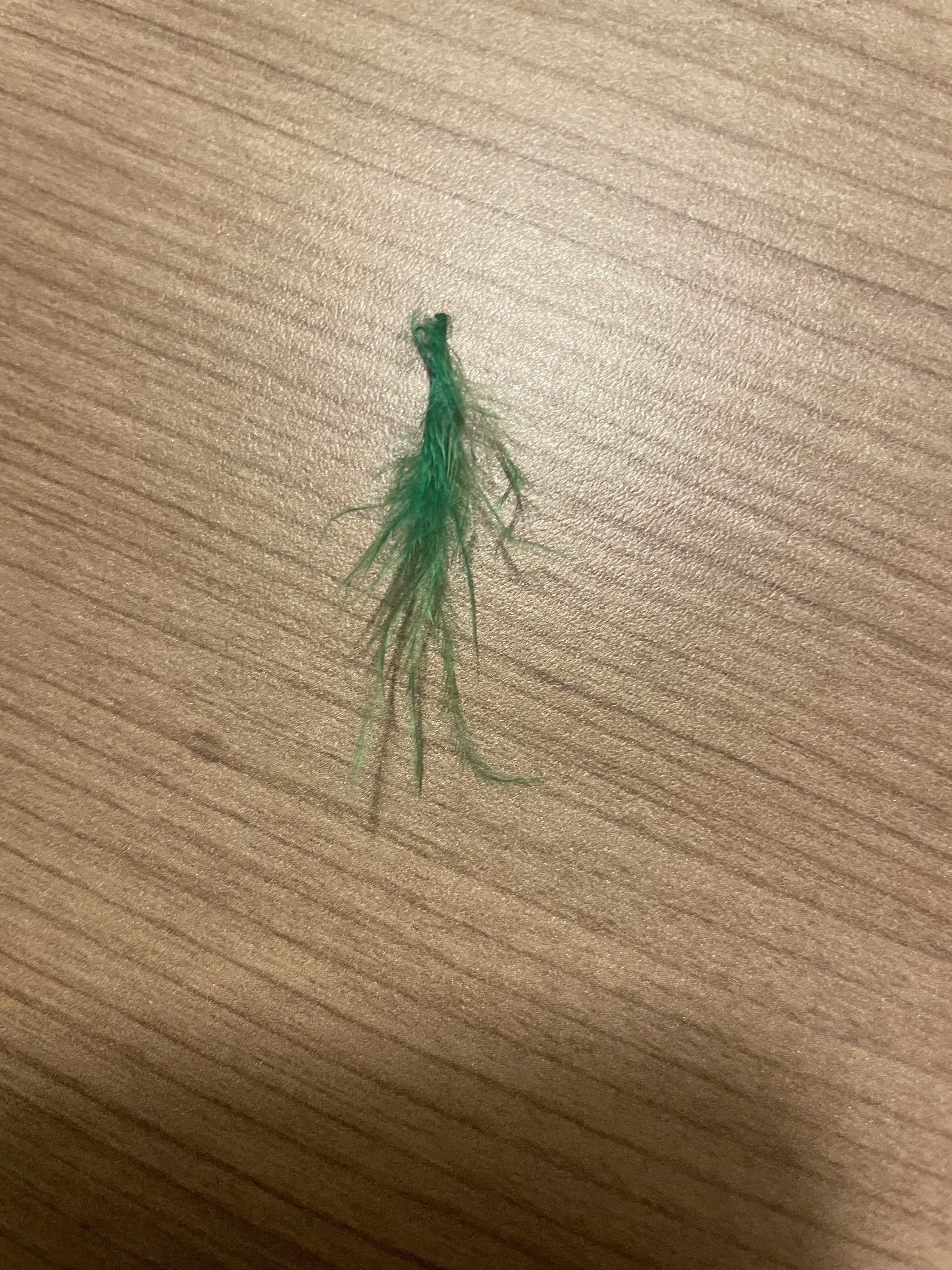 Photo n° 2 de l'avis de Grégory.o fait le 13/06/2023 à 15:57