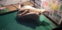 PET DEN - Photo 3 - Car repair in Nederland, TX, Beaumont