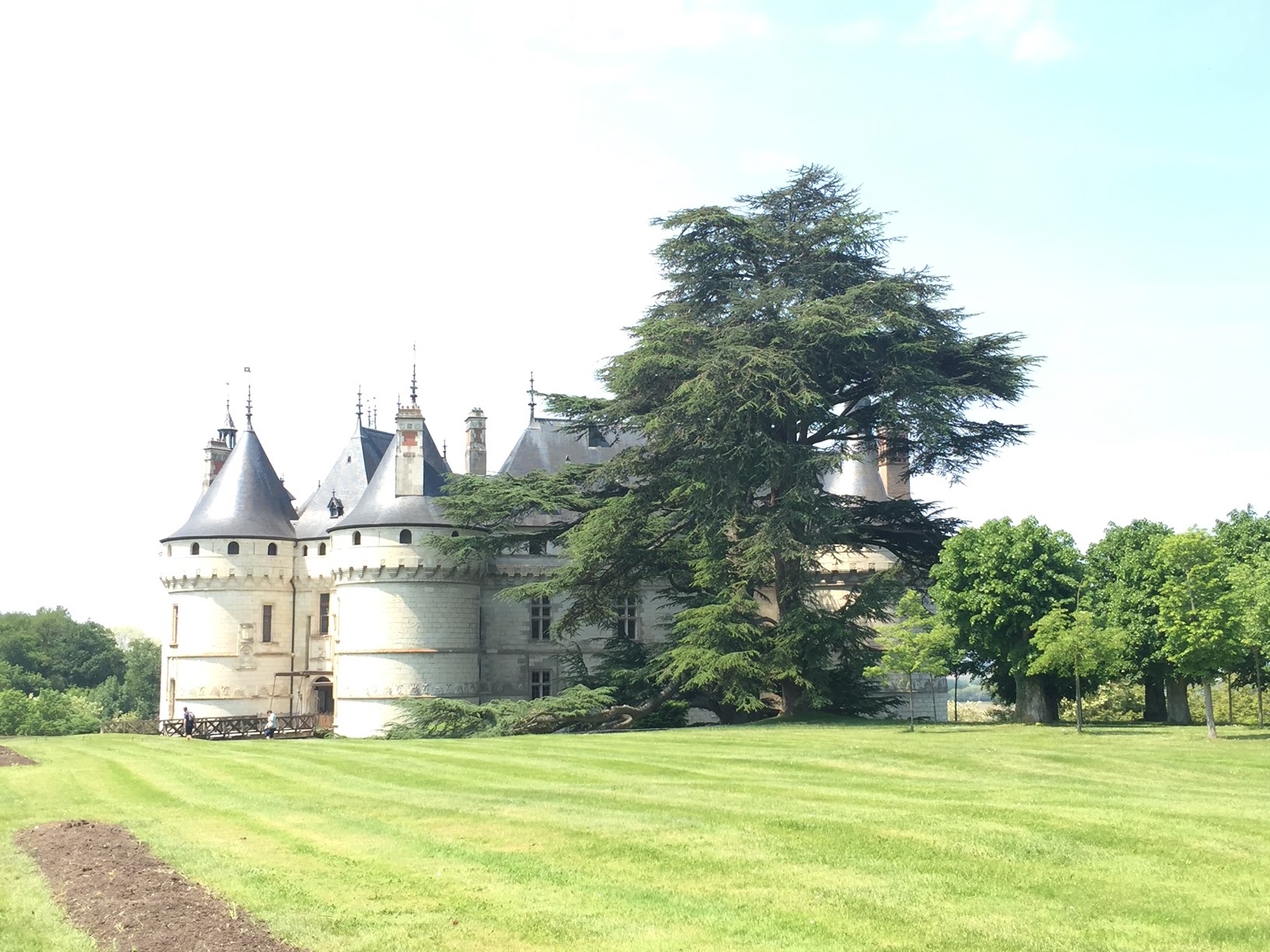 Photo n° 12 de l'avis de Paul.� fait le 25/06/2018 à 07:26