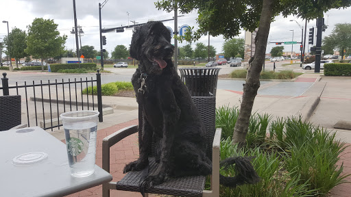 Coffee Shop «Starbucks», reviews and photos, 2831 Eldorado Pkwy, Little Elm, TX 75068, USA