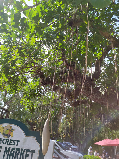 Produce Market «Wayside Fruit & Vegetable», reviews and photos, 10070 SW 57th Ave, Pinecrest, FL 33156, USA