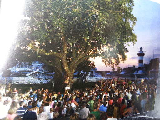 Resort «The Sea Pines Resort», reviews and photos