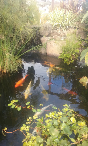 Landscaping Supply Store «Broadmoor Landscape Supply», reviews and photos, 1350 El Camino Real, South San Francisco, CA 94080, USA